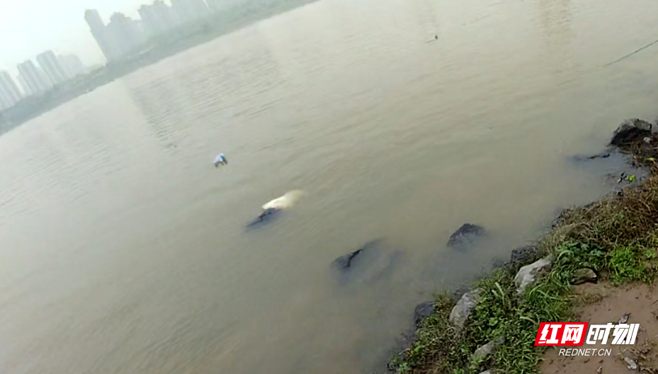 微信图片_2026-04-08_160305_656.png 微信图片_2026-04-08_160305_656.png