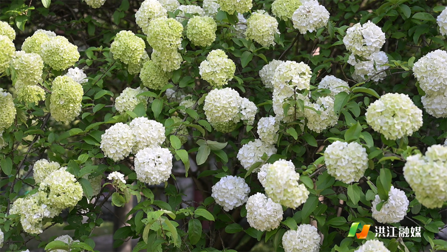 微信图片_20260408150754.png 微信图片_20260408150754.png