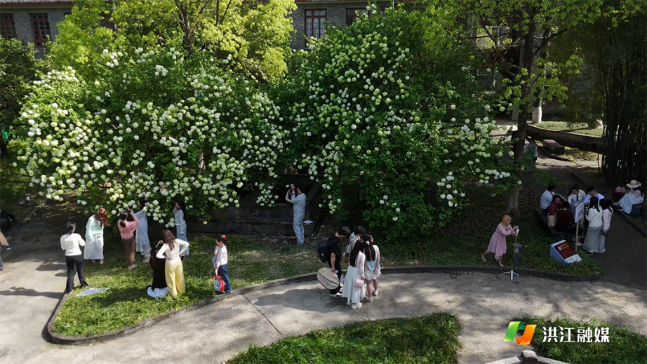 4月8日(1).jpg 4月8日(1).jpg