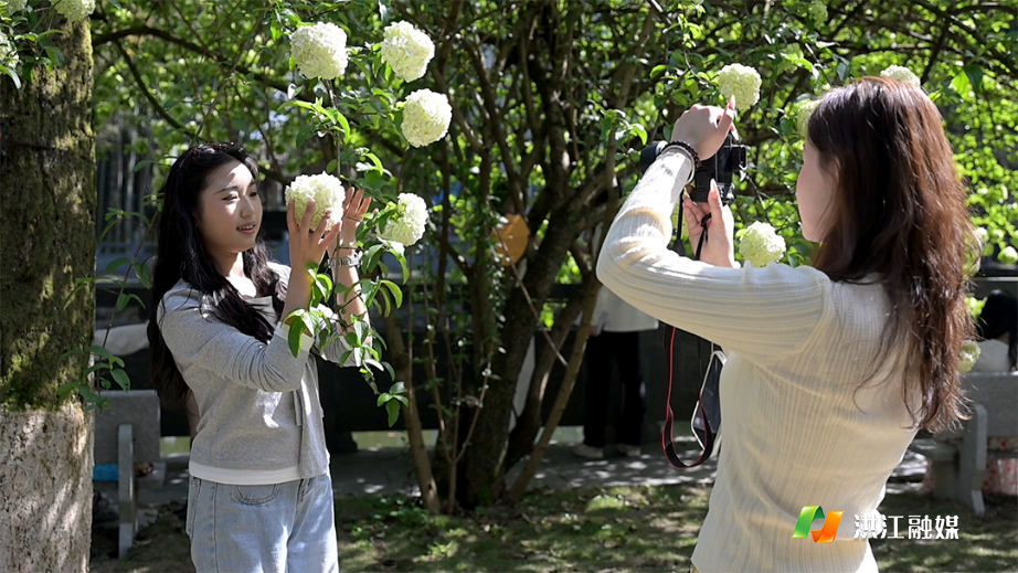 微信图片_20260408150800.png 微信图片_20260408150800.png