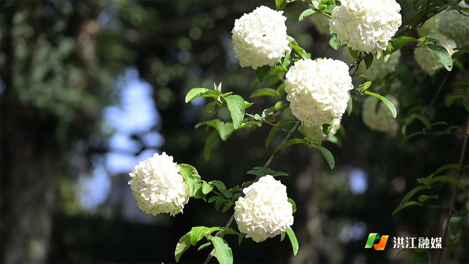 4月8日-1.jpg 4月8日-1.jpg