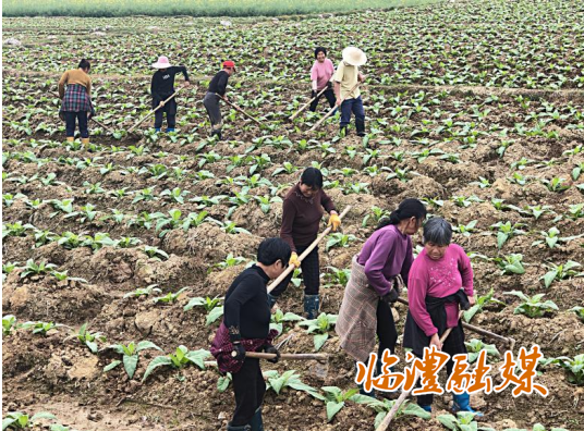 ScreenShot_2026-04-08_171609_762.png ScreenShot_2026-04-08_171609_762.png