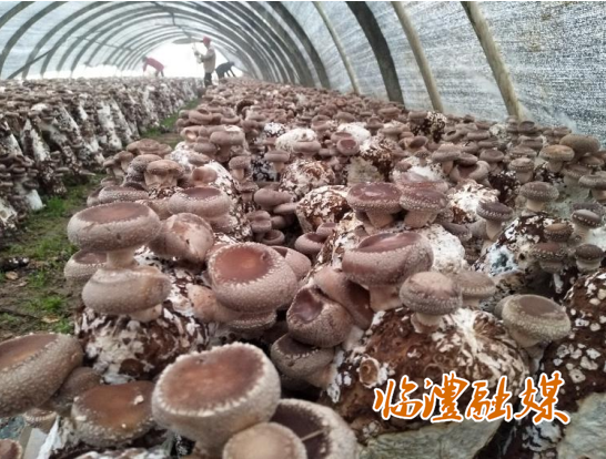 ScreenShot_2026-04-08_171615_988.png ScreenShot_2026-04-08_171615_988.png