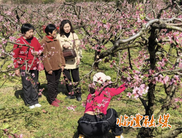 ScreenShot_2026-04-08_171625_283.png ScreenShot_2026-04-08_171625_283.png