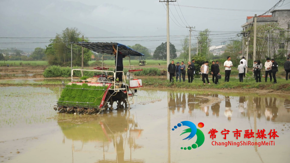 机插机抛 (3)_看图王.jpg 机插机抛 (3)_看图王.jpg