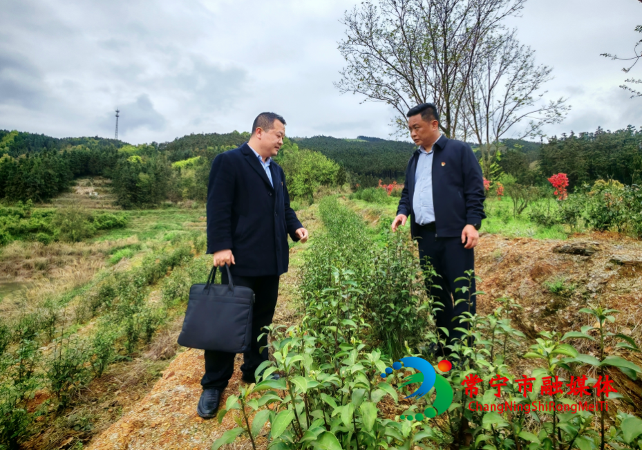 图片1_看图王.png 图片1_看图王.png