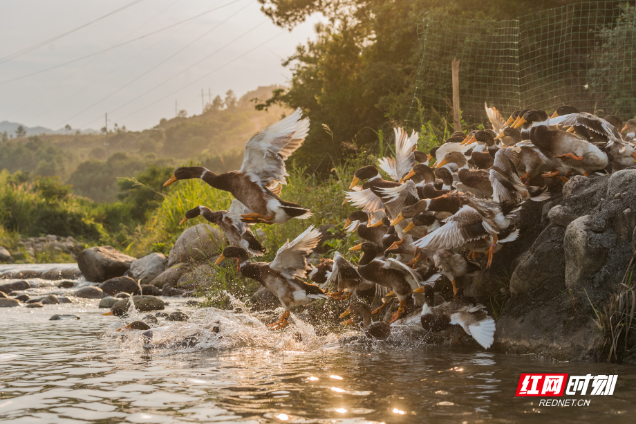 微信图片_20260408174354_17_748.jpg 微信图片_20260408174354_17_748.jpg