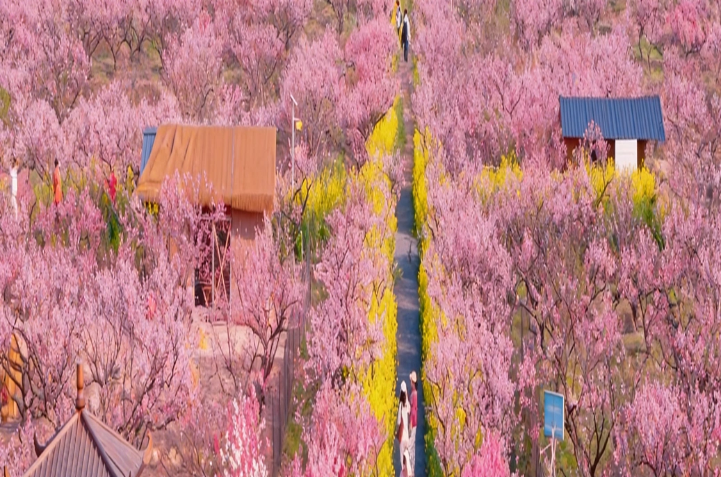 花海、市集与春味 湖南春日文旅解锁消费新场景