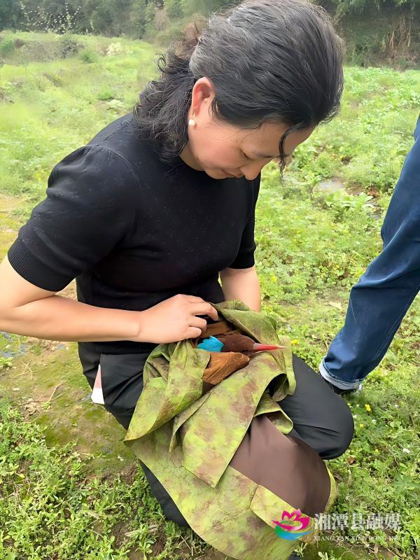 微信图片_20260409100809_117_76(1).jpg 微信图片_20260409100809_117_76(1).jpg