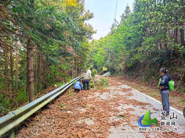 大风致道路受阻 汇源瑶族乡紧急清障保畅通.jpg 大风致道路受阻 汇源瑶族乡紧急清障保畅通.jpg