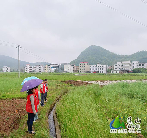 祠堂圩镇纪委开展禁毒禁种专项踏查行动.jpg 祠堂圩镇纪委开展禁毒禁种专项踏查行动.jpg