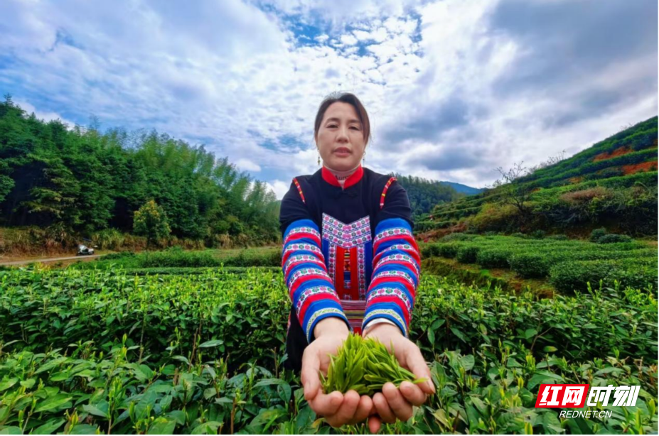 图片16.jpg 图片16.jpg