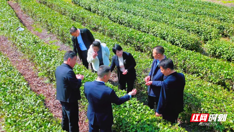 图片17.jpg 图片17.jpg