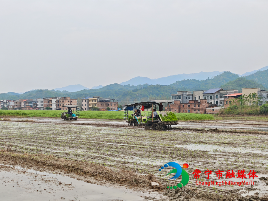 开局八好 乘势而上.jpg 开局八好 乘势而上.jpg