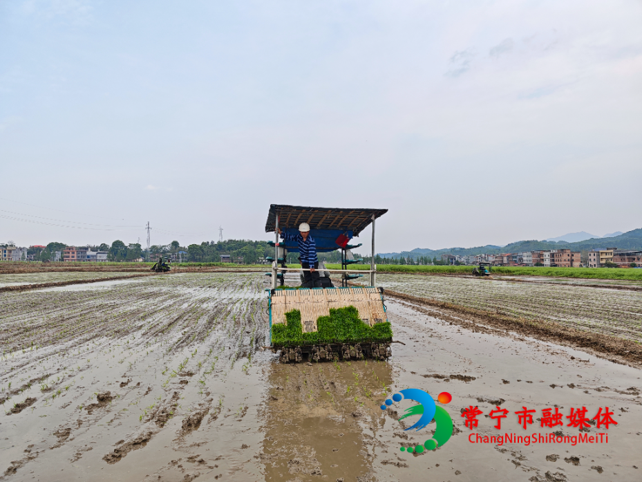 开局八好 乘势而上上.jpg 开局八好 乘势而上上.jpg