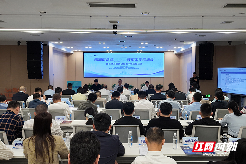 DJI_20260410105044_0866_D.jpg DJI_20260410105044_0866_D.jpg