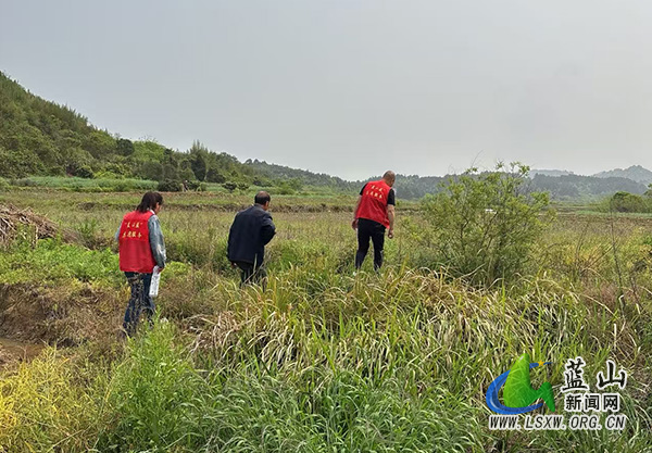 祠堂圩镇:筑牢生态防线,共建和谐家园.jpg 祠堂圩镇:筑牢生态防线,共建和谐家园.jpg