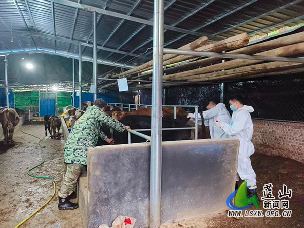 所城镇:免疫接种与监测排查双管齐下,织密畜禽防疫“安全网”.jpg 所城镇:免疫接种与监测排查双管齐下,织密畜禽防疫“安全网”.jpg