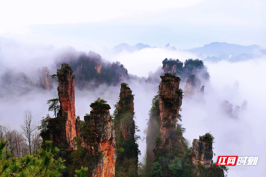 微信图片_20260410115113_2069_214.jpg 微信图片_20260410115113_2069_214.jpg