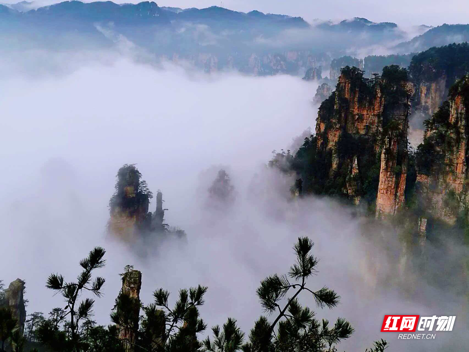 微信图片_20260410115114_2070_214.jpg 微信图片_20260410115114_2070_214.jpg