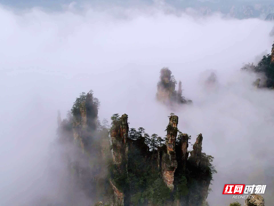 微信图片_20260410115115_2072_214.jpg 微信图片_20260410115115_2072_214.jpg