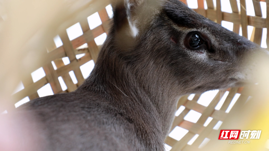 1D2A3973.MP4_20260412_180501.709.jpg 1D2A3973.MP4_20260412_180501.709.jpg