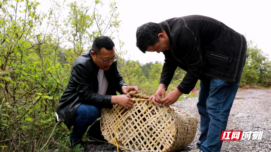 1D2A3996.MP4_20260413_011442.541.jpg 1D2A3996.MP4_20260413_011442.541.jpg