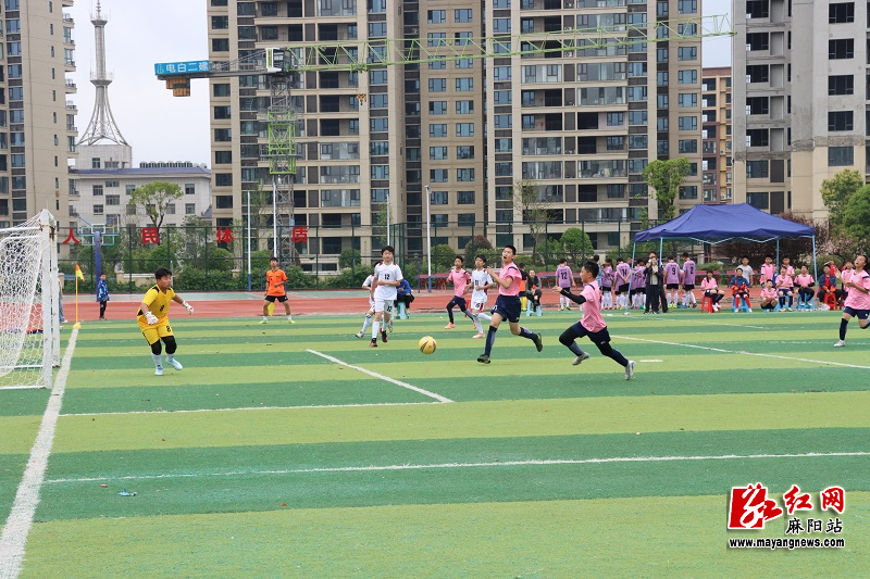 微信图片_20260413153012.jpg 微信图片_20260413153012.jpg