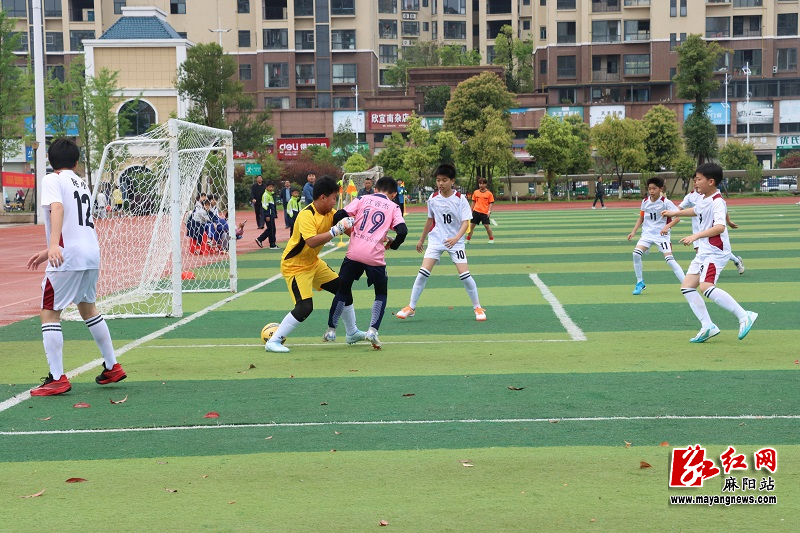 微信图片_20260413153022.jpg 微信图片_20260413153022.jpg