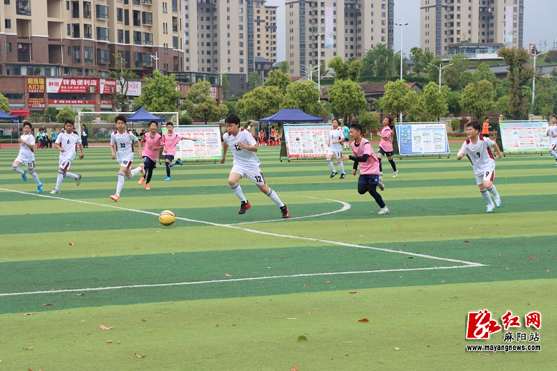 微信图片_20260413153028.jpg 微信图片_20260413153028.jpg