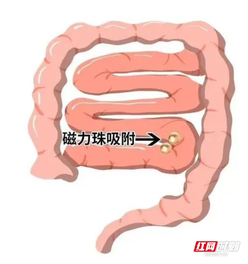 图片5.png 图片5.png