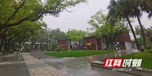 来长沙看辛追夫人，不用在马路边排队了