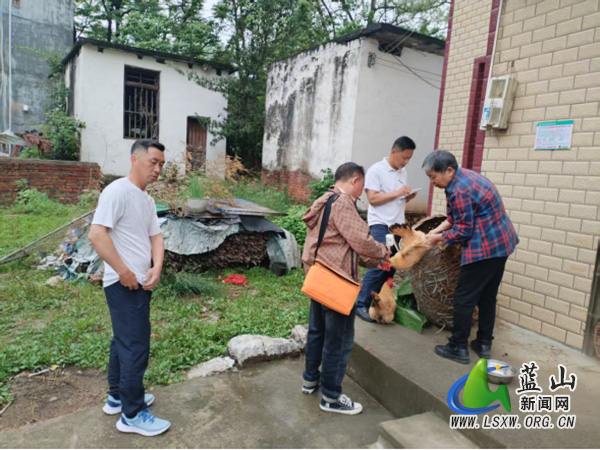 祠堂圩镇:筑牢春季防疫屏障 守护畜禽健康安全.jpg 祠堂圩镇:筑牢春季防疫屏障 守护畜禽健康安全.jpg