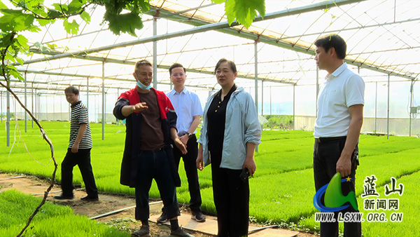 2026.4.13邓群到塔峰镇调研粮食生产工作.jpg 2026.4.13邓群到塔峰镇调研粮食生产工作.jpg