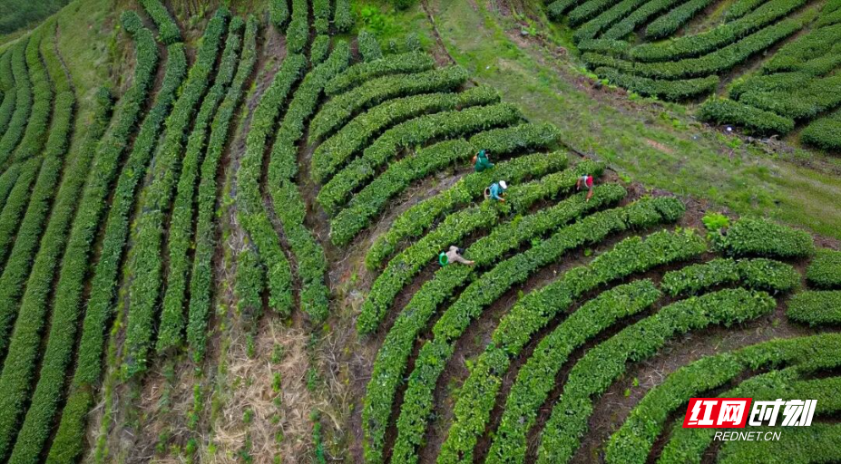 生成9_16风景大片质感图片 (3).jpg