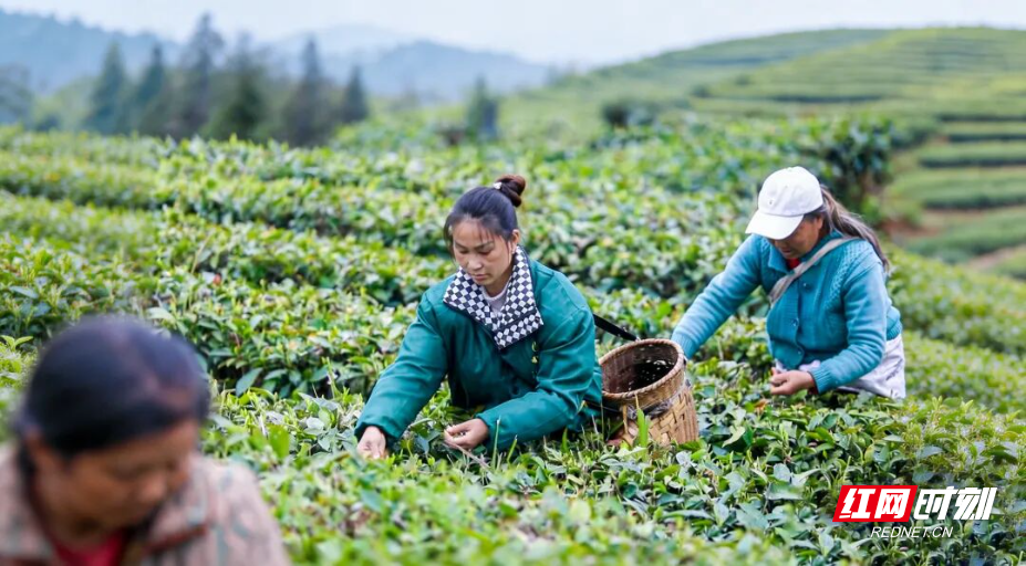 生成9_16风景大片质感图片 (1).jpg