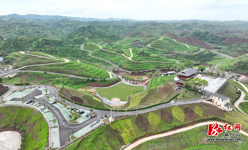 微信图片_20260415113126.jpg 微信图片_20260415113126.jpg