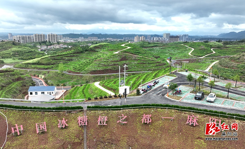 微信图片_20260415113111.jpg 微信图片_20260415113111.jpg