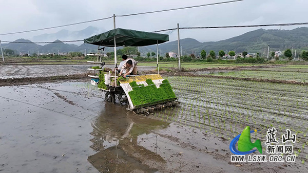 所城镇：农机穿梭织绿锦  春耕沃野绘新图.jpg