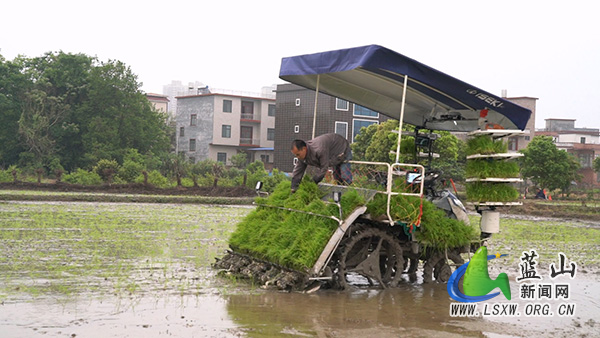 我县无人插秧机“上岗” 智慧春耕添动力.jpg