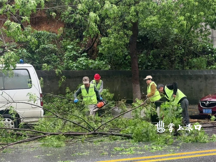 IMG_9102[00-00-00][20260416-140406958] (1).jpg