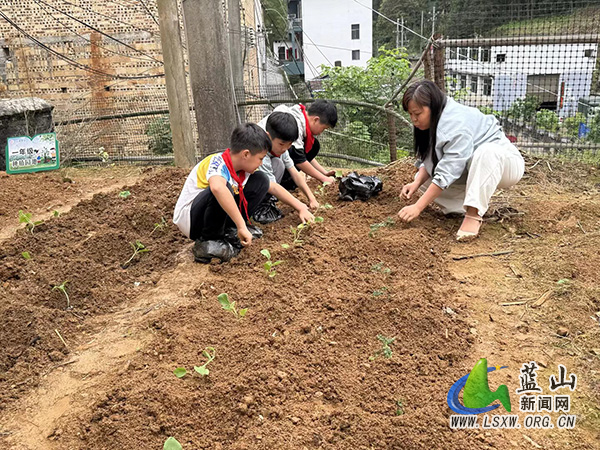 春日开耕播希望，劳动育人满校园——汇源中心小学农耕劳动教育实践活动.jpg