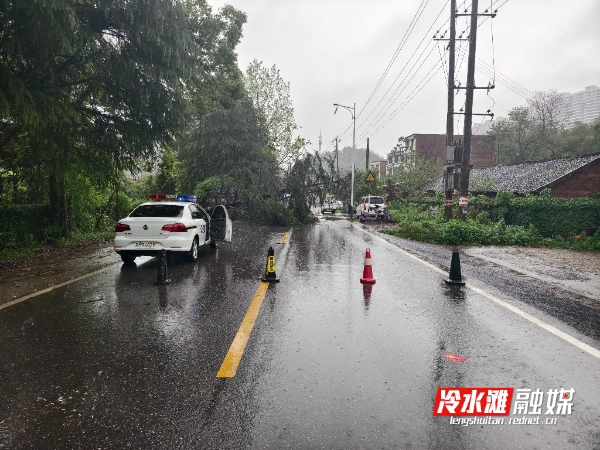 大树横断道路&nbsp;交警冒雨抢通 (1).jpg