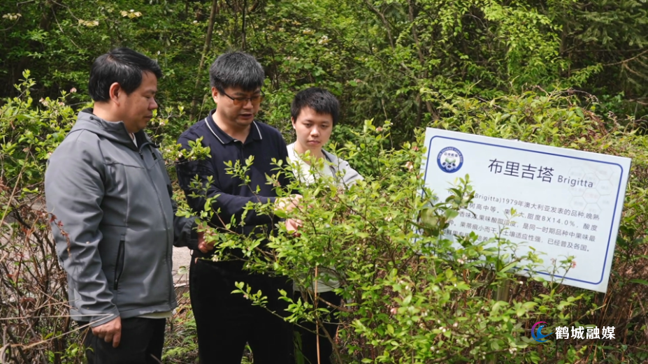湖南农大生物科学技术学院专家团赴鹤城 科技赋能农业产业发展.mp4_000000.688.png