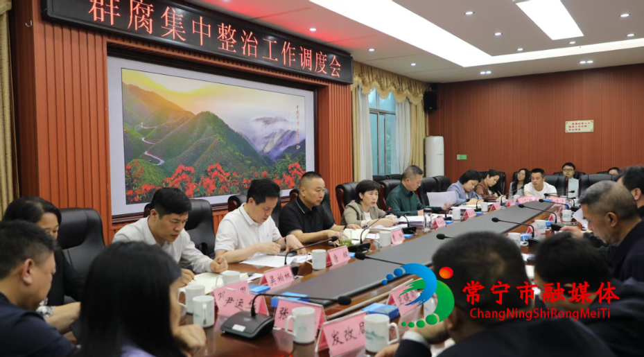 0420 全市群腐集中整治工作调度会召开(1).jpg