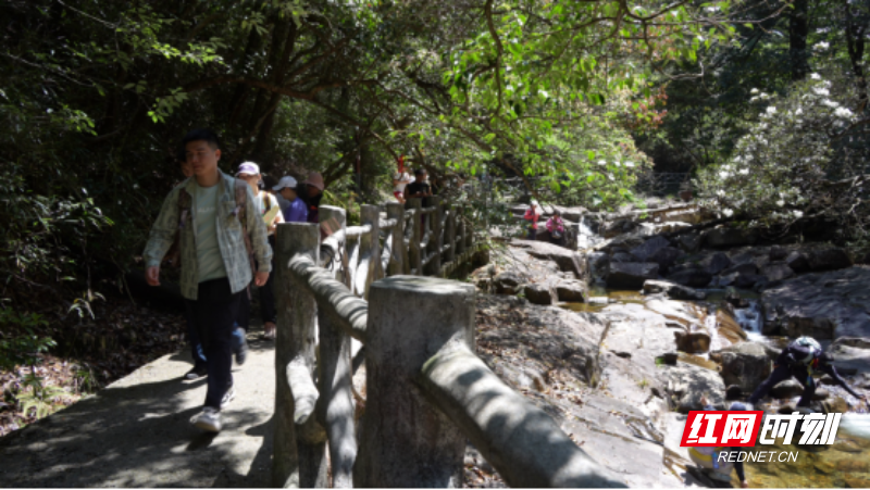 宜章莽山：春暖将军寨  风光无限美265.png