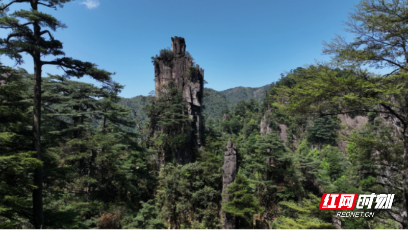 宜章莽山：春暖将军寨  风光无限美216.png