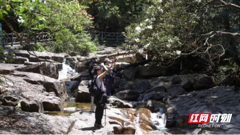 宜章莽山：春暖将军寨  风光无限美275.png