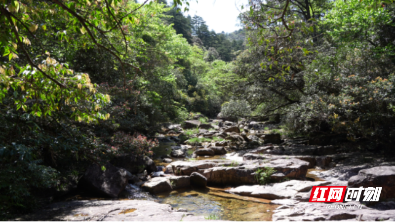 宜章莽山：春暖将军寨  风光无限美245.png