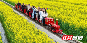 花事未了，福临的“春天”还在盛开